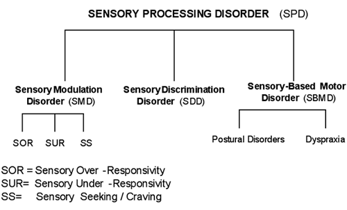 sensory processing chart sensory processing chart